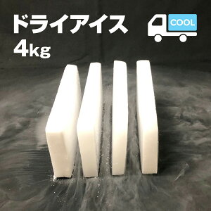 hCACX@4L@DI-4@Ă̎REw̎EⓀɂ̌̏᎞Eybĝ̕ۑECxg̔