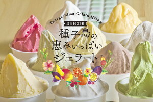 q̌b݃WF[g12Zbg@WF[g@ACX v[g@A-HP12