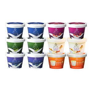 o ACXMtg R݂邭@12Zbg v[g@sb-12