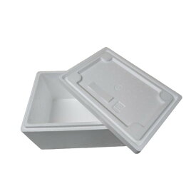 発泡スチロール容器　発砲スチロール　贈答用　保冷箱　クーラーボックス　宅配便80サイズ　保冷　保温　ふたつき　軽量　収納　（幅300×奥行200×高さ155）