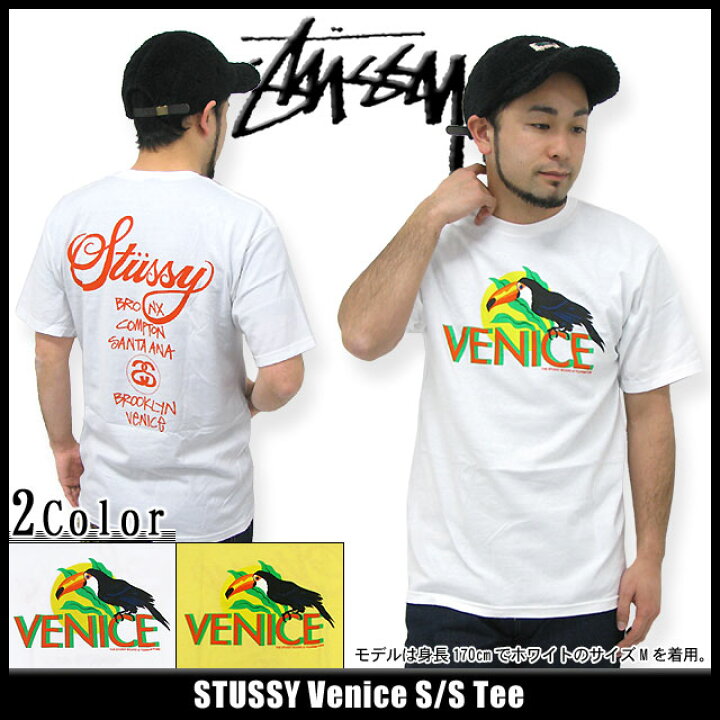 楽天市場】ステューシー STUSSY Venice Tシャツ 半袖(stussy tee 