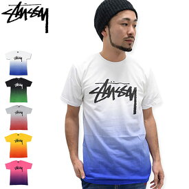 【アウトレット(不良箇所あり)】ステューシー STUSSY Stock Mesh Tシャツ 半袖 ( stussy tee ティーシャツ T-SHIRTS トップス メンズ・男性用 1903530 Stussy stussy ストゥーシー スチューシー )[M便 1/1] ice filed icefield