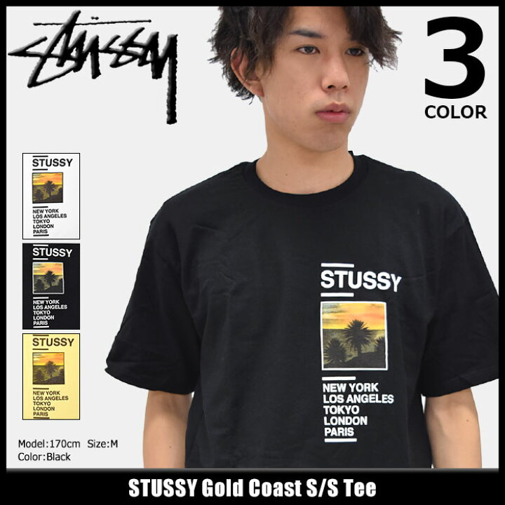 楽天市場】ステューシー STUSSY Tシャツ 半袖 メンズ Gold Coast 