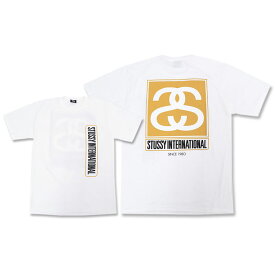 【アウトレット(不良箇所あり)】ステューシー STUSSY Tシャツ 半袖 メンズ INT Link Box ( stussy tee ティーシャツ T-SHIRTS カットソー トップス メンズ・男性用 1903790 ストゥーシー スチューシー )[M便 1/1] ice field icefield