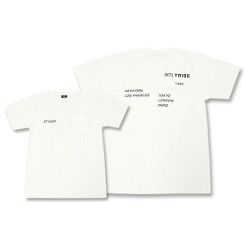 【アウトレット(不良箇所あり)】ステューシー STUSSY Tシャツ 半袖 メンズ Zine Pocket ( stussy tee ポケット ティーシャツ T-SHIRTS カットソー トップス メンズ・男性用 1943873 ストゥーシー スチューシー )[M便 1/1] ice field icefield