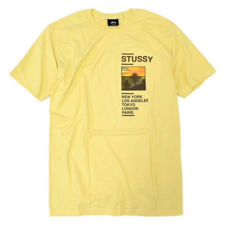楽天市場】ステューシー STUSSY Tシャツ 半袖 メンズ Gold Coast 