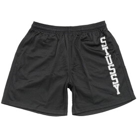 ステューシー STUSSY ハーフパンツ メンズ Collegiate Mesh ( stussy short pant ショーツ ショートパンツ ハーパン ボトムス メンズ・男性用 112274 USAモデル 正規 品 ストゥーシー スチューシー ) ice field icefield