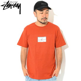 ステューシー STUSSY Tシャツ 半袖 メンズ Debt ( stussy tee Amex ティーシャツ T-SHIRTS カットソー トップス メンズ・男性用 1904783 USAモデル 正規 品 ストゥーシー スチューシー )[M便 1/1] ice field icefield