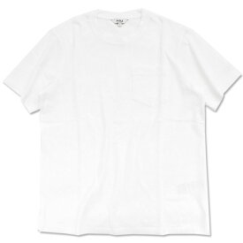 エーグル AIGLE Tシャツ 半袖 メンズ ポケット ( AIGLE Pocket S/S Tee ポケT ティーシャツ T-SHIRTS カットソー トップス メンズ 男性用 ZTHQ054 )[M便 1/1] ice field icefield
