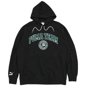 プーマ PUMA パーカー プルオーバー メンズ 22FW プーマ チーム 限定 ( PUMA 22FW Puma Team Pullover Hoodie Limited フード フーディ スウェット Pull Over Hoody Parker スウェット トップス メンズ 男性用 539170 ) ice field icefield