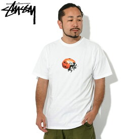 ステューシー STUSSY Tシャツ 半袖 メンズ Ladybug ( stussy tee ティーシャツ T-SHIRTS カットソー トップス メンズ・男性用 1904899 USAモデル 正規 品 ストゥーシー スチューシー )[M便 1/1] ice field icefield