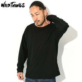 ワイルドシングス WILD THINGS ロンT Tシャツ 長袖 メンズ W2LS レベル1 アルピニクス TW ( WILD THINGS W2LS Level1 Alpinix TW L/S Tee ティーシャツ T-SHIRTS ロング ロンティー 長袖Tシャツ カットソー トップス メンズ 男性用 WT23156KB )