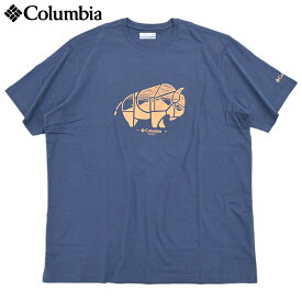 【ポイント10倍】コロンビア Columbia Tシャツ 半袖 メンズ ロッカウェイ リバー アウトドア ( columbia Rockaway River Outdoor S/S Tee ティーシャツ T-SHIRTS カットソー トップス 男性用 Colombia Colonbia Colunbia AM8917 )[M便 1/1] ice field icefield