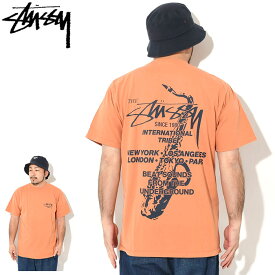 ステューシー STUSSY Tシャツ 半袖 メンズ Beat Sounds Pigment Dyed ( stussy tシャツ tee ピグメント ティーシャツ T-SHIRTS カットソー トップス メンズ 1905060 USAモデル 正規 品 ストゥーシー スチューシー )[M便 1/1] ice field icefield