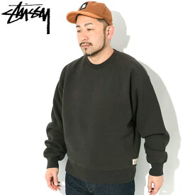 ステューシー STUSSY トレーナー メンズ Fleece Raglan ( stussy crew sweat 保温 暖かい あったか 裏起毛 スウェット スエット トレナー トレイナー トップス メンズ 男性用 Relaxed Crew 118570 USAモデル 正規 品 ストゥーシー スチューシー )