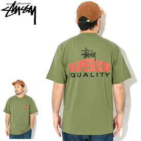 ステューシー STUSSY Tシャツ 半袖 メンズ Superior Quality ( stussy tee ティーシャツ T-SHIRTS カットソー トップス メンズ・男性用 1905106 USAモデル 正規 品 ストゥーシー スチューシー )[M便 1/1] ice field icefield