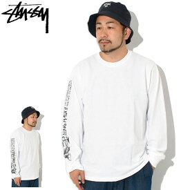 ステューシー STUSSY ロンT Tシャツ 長袖 メンズ Long Haul ( stussy tee ティーシャツ T-SHIRTS カットソー トップス ロング ロンティー 長袖Tシャツ メンズ 男性用 1995114 USAモデル 正規 品 ストゥーシー スチューシー ) ice field icefield