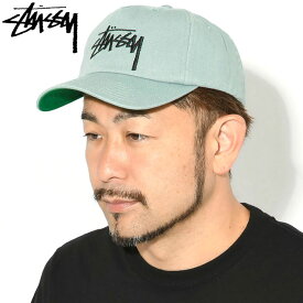 ステューシー STUSSY キャップ 帽子 Big Stock Mid Depth Cap ( スナップバック メンズ・男性用 1311145 USAモデル 正規 品 ストゥーシー スチューシー ) ice field icefield