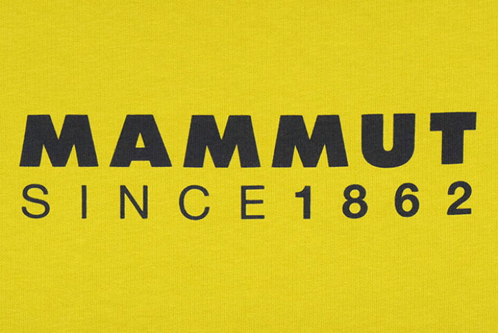 マムート MAMMUT トレーナー メンズ マムート コア ML クルーネック スウェット mammut Mammut Core ML Crew Neck Sweat スエット トレナー トレイナー トップス アウトドア トレッキング 登山 1014-04040 ice field icefield ice field(アイスフィールド) マムート(MAMMUT)(メンズ)トレーナー