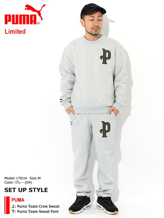 楽天市場 プーマ Puma トレーナー メンズ プーマ チーム クルー スウェット 限定 Puma Puma Team Crew Sweat Limited スエット トレナー トレイナー トップス メンズ 男性用 Ice Field Icefield Ice Field アイスフィールド 楽天市場 プーマ Puma トレーナー メンズ プーマ チーム クルー スウェット 限定 Puma Puma Team Crew Sweat Limited スエット トレナー トレイナー トップス メンズ 男性用 Ice Field Icefield Ice Field アイスフィールド