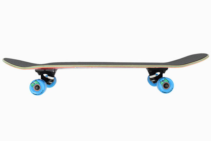 楽天市場】サンタクルーズ SANTA CRUZ スケボー スケートボード 