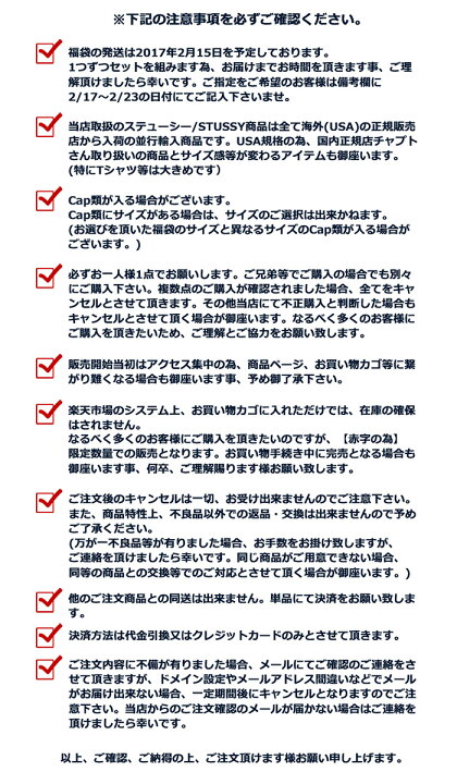 楽天市場 2 22発送予定 ステューシー Stussy 福袋 Ice Field アイスフィールド