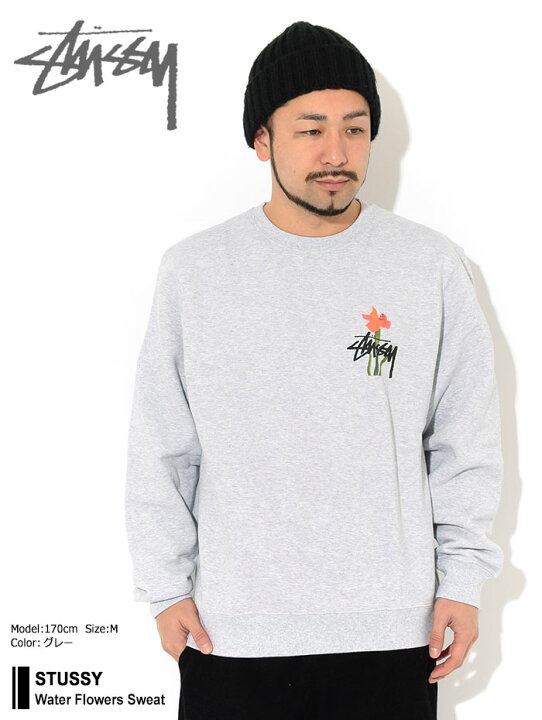ステューシー/Stussy スウェット M