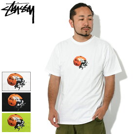 ステューシー STUSSY Tシャツ 半袖 メンズ Ladybug ( stussy tee ティーシャツ T-SHIRTS カットソー トップス メンズ・男性用 1904899 USAモデル 正規 品 ストゥーシー スチューシー )[M便 1/1] ice field icefield