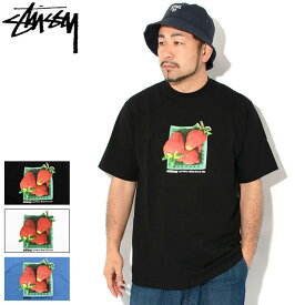 ステューシー STUSSY Tシャツ 半袖 メンズ Berries ( stussy tee ティーシャツ T-SHIRTS カットソー トップス メンズ・男性用 1905108 USAモデル 正規 品 ストゥーシー スチューシー )[M便 1/1] ice field icefield