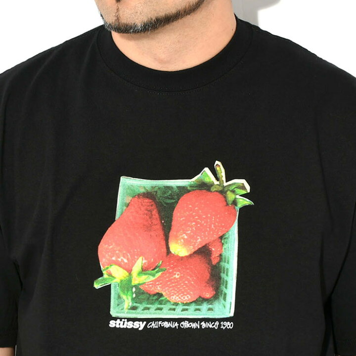 楽天市場】ステューシー STUSSY Tシャツ 半袖 メンズ Berries ( stussy 