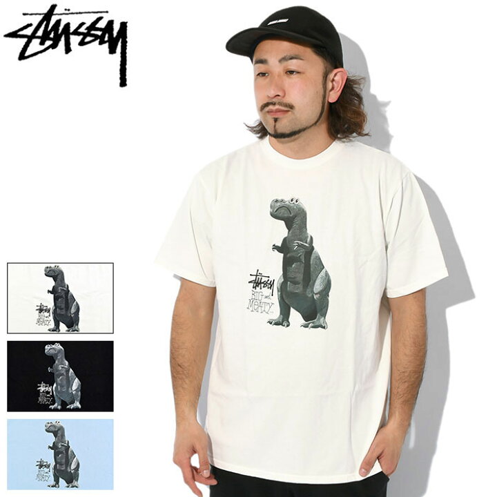 楽天市場】ステューシー STUSSY Tシャツ 半袖 メンズ Big & Meaty 