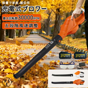 u[ [d R[hX duA[ nCp[ uA[  uA[ 5iK 273km/h obe꓋ 18Vobe[ɑΉ\ ]x32000RPM ^ Wo@ ΂ 