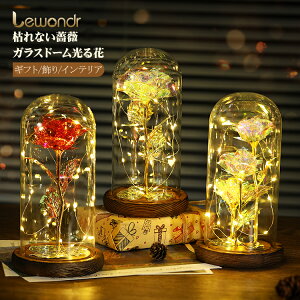 Lewondr ͂Ȃ  KXh[ KN ͂Ȃ o^C  v[g bL[Y LEDCgt  CeA zo/̓/LO/a/w//j/