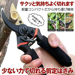 剪定ばさみ ハサミ 枝切りバサミ 剪定はさみ 錆びにくい フッ素コーティング 握りやすい 剪定バサミ 剪定鋏 せんていばさみ 枝きりばさみ 庭木の剪定 黒 金 園芸 ハサミ ガーデニング 高級