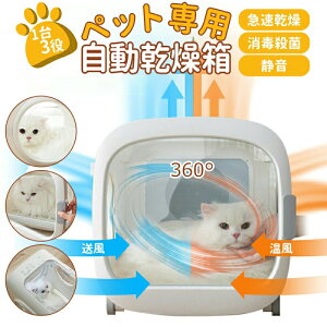 yyVX[p[SALE z y}! zybgp 13 hC[EGAW[EnEX @\ybg É ybghC[ ŎE } SP CI