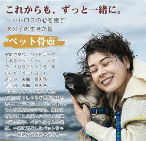 ybg  {bNX  L ybgp IWi  ybgd ybg  p ⍜ i  A 퐻 ⍜ كP[X IWiObY I[_[  