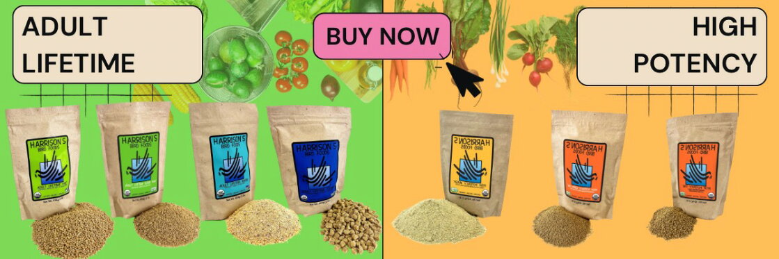 ハリソンバードフード