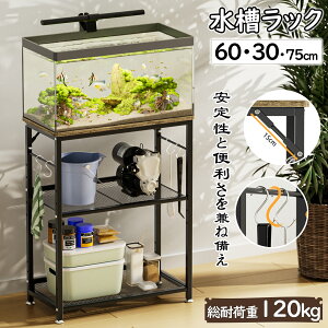 ySSz+5{Pzy1Nۏ؁zDEWEL   60cm bN p  I I\ ؐ X^h tbNt AWX^[t g EbhfRX^h u 