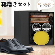7月15日限定10％券付♪靴磨きセット シューケアセット かんたん 保湿力 栄養・保革・ツヤ出し 補色 初め…