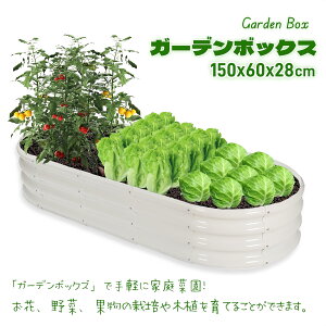 101510OFFIK[fxbh v^[ ^ 150x60x28cm DEWEL bL K[f{bNX ƒ؉ | K[fjO CYhK[fxbh グԒd Hsv O ؍͔| 