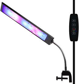 楽天市場 30cm 水槽 Ledライトの通販