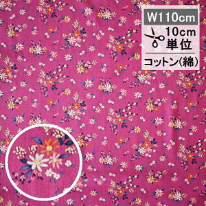 Tilda@eB_@t@ubNinj DaisyfieldifCW[tB[hj@v