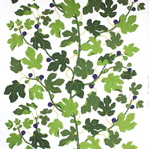 LJUNGBERGS@o@t@ubN@n@FIKI