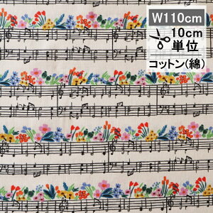 Cty[p[@t@ubNinj ~[WbNm[g N[ rifle paper 110cm 10cmP z  Rbg | 킢 y y  sAm ԕ  AJ