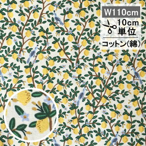 Cty[p[@t@ubNinj O[u N[ rifle paper 110cm 10cmP z  Rbg | 킢 ʕ  vg  AJ  CG[