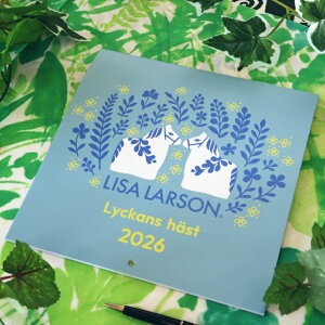 T[\ Lisa lason Ǌ|J_[ 2026 fUCRNV ߔN 2026N J_[ lR go[h nlY~ }CL[  킢 lC