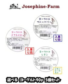 楽天市場 ジョセフィ 食品 の通販