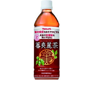 Ng בu풃 500ml 1P[X 24{ l O@ot |tFm[