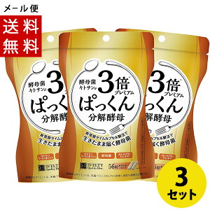 3{ς񕪉yv~A 56×3 pbN SVELTY(XxeB) [ 