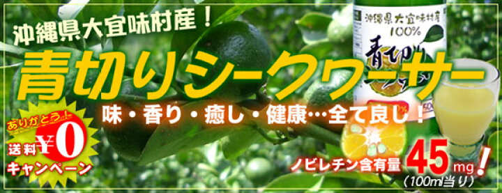 青切りシークワーサー500ml×12 沖縄県大宜味村産 シークヮーサー バラエティーストアおきなわ一番